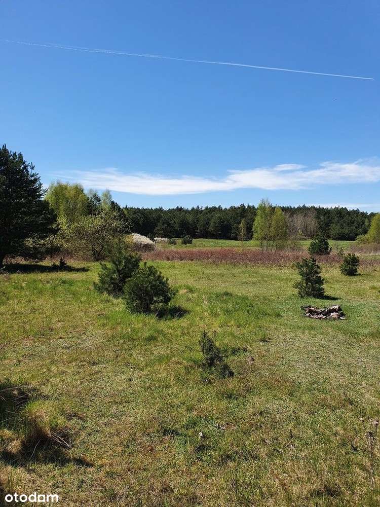 Działki pod zabudowę jednorodzinną, Las w pobliżu.-3