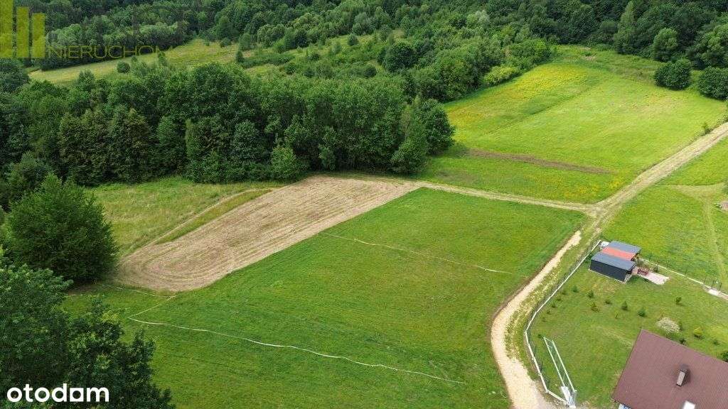 Izdebnik działka budowlana 15 arów przy lesie-2