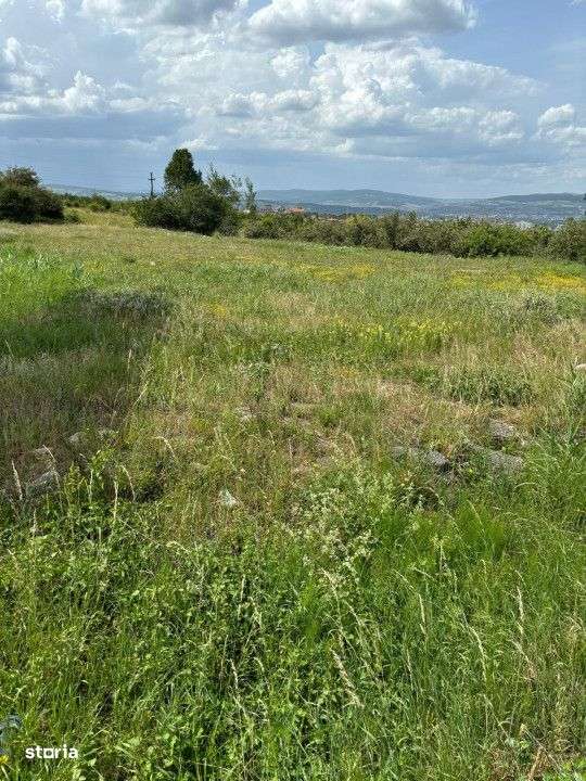 Teren de vanzare, 1000mp in Feleac - Imagine principală: 2/2