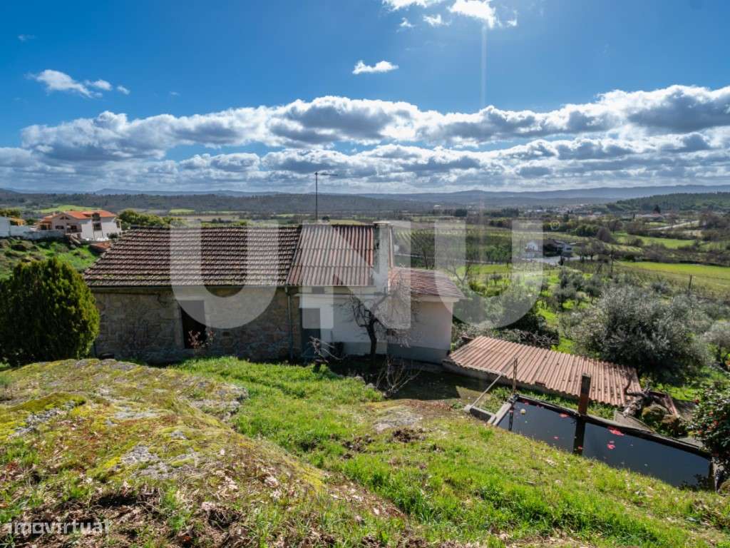 Quinta T2 com Habitação, Infraestruturas Agrícolas e Terreno com Vi...-14