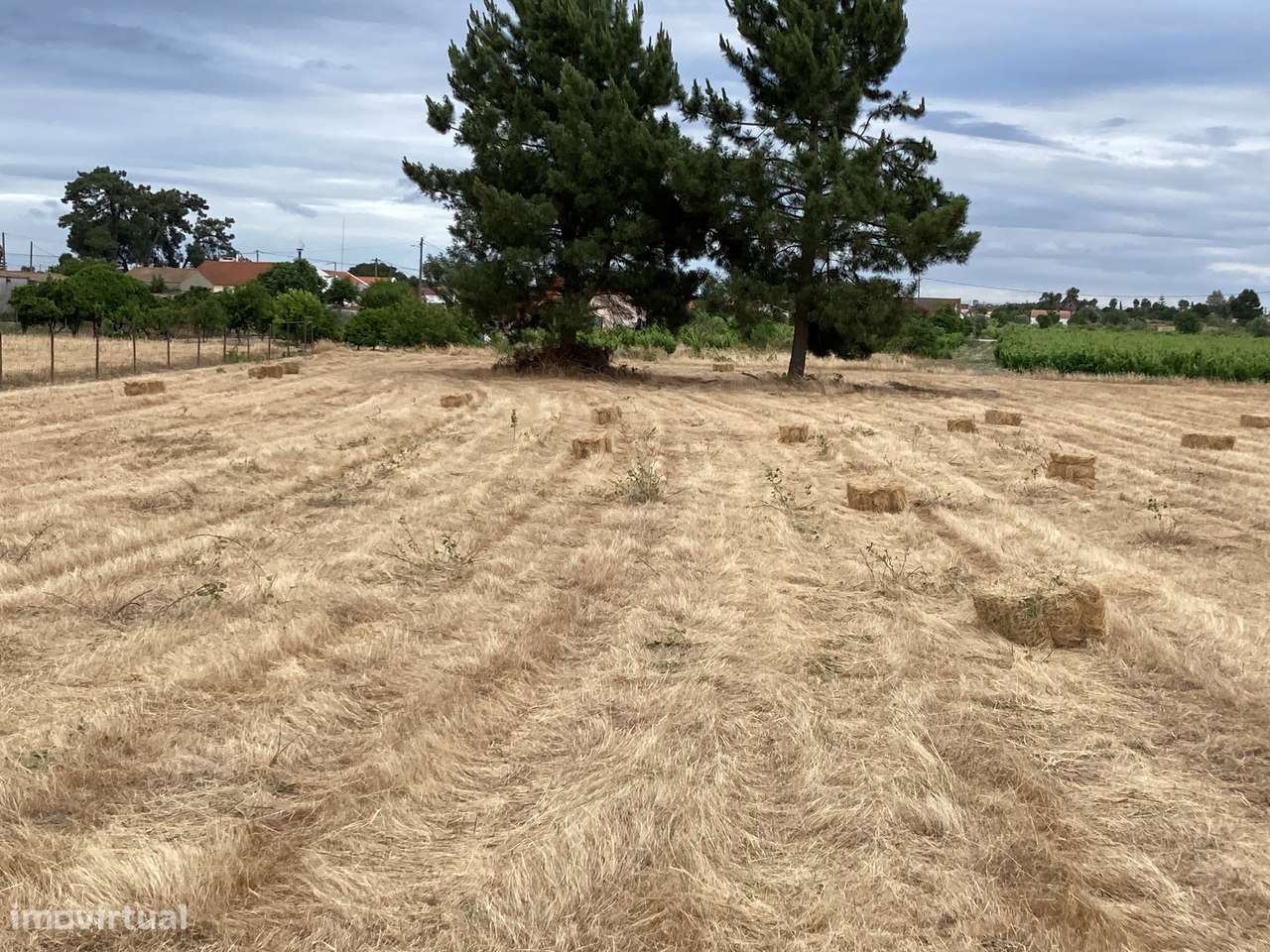 Terreno  Venda em Poceirão e Marateca,Palmela-15