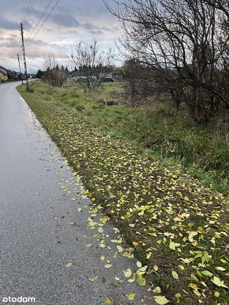 Nowa Cena- Działka budowlana w centrum Secemina - Pełny obrazek: 4/6