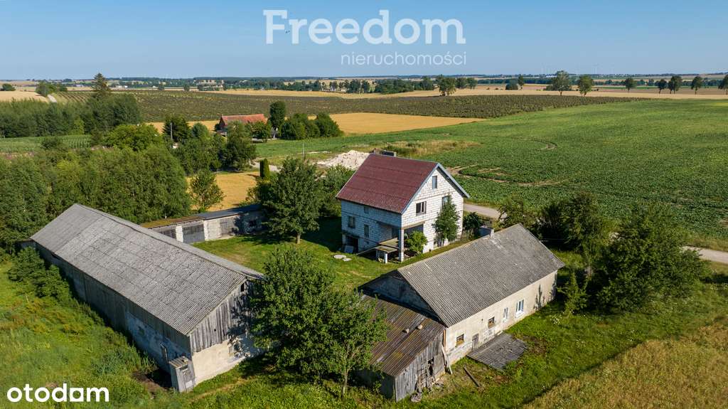 Na sprzedaż siedlisko w Rogożu o pow. 4138 m2 - Pełny obrazek: 4/19
