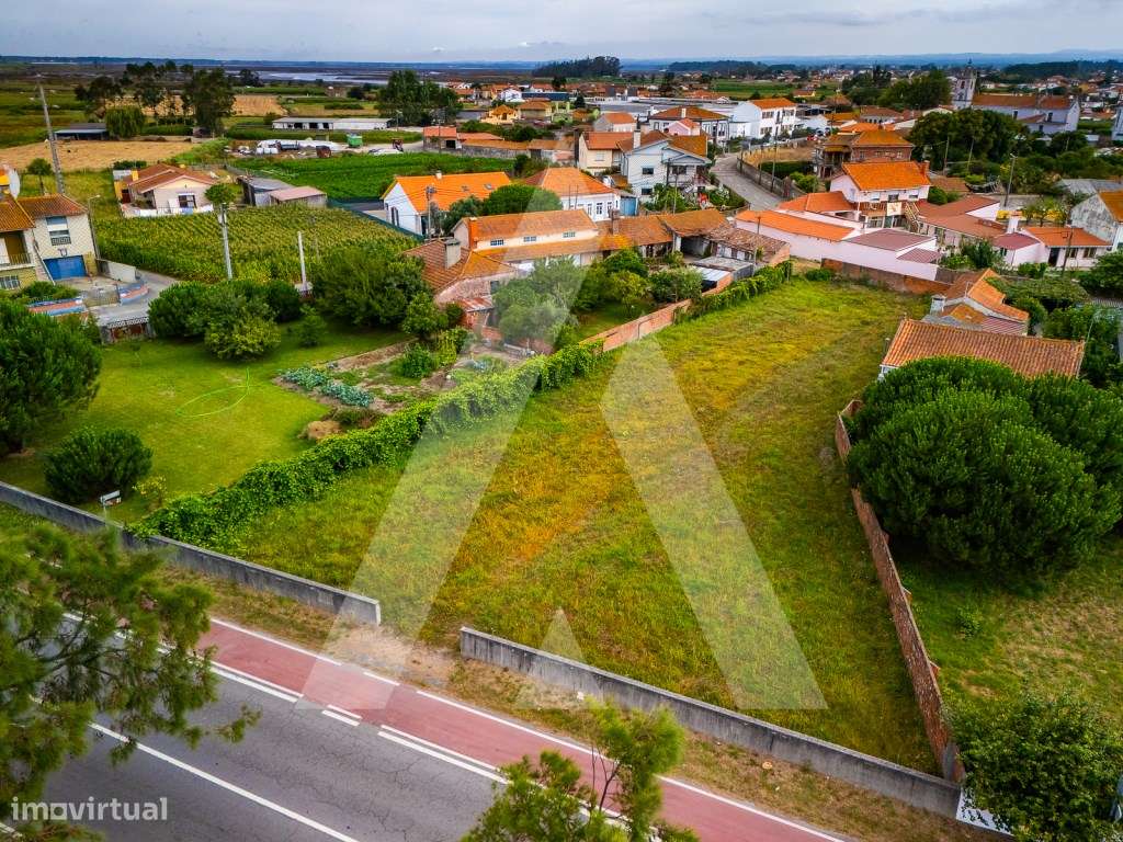 Terreno construção moradia - Murtosa - Ria de Aveiro-14