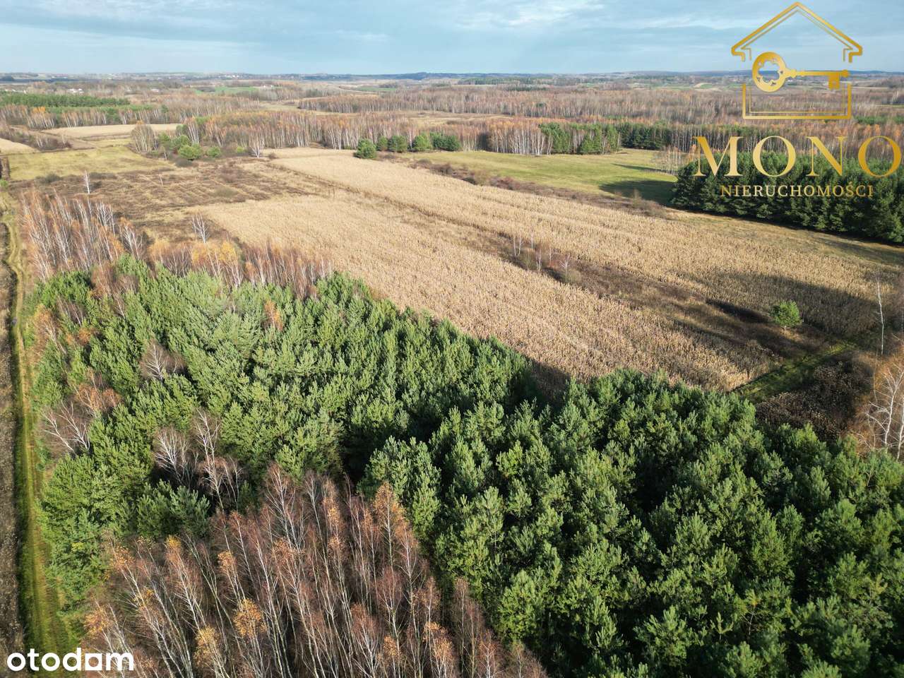 Działka 1,61 ha ok. 10 km od Buska-Zdrój-16