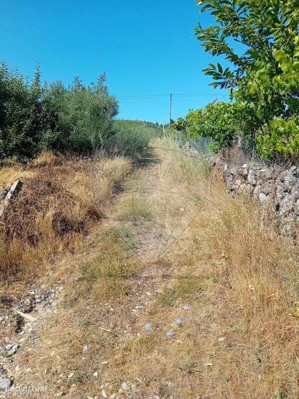 Terreno  para venda - Grande imagem: 5/5