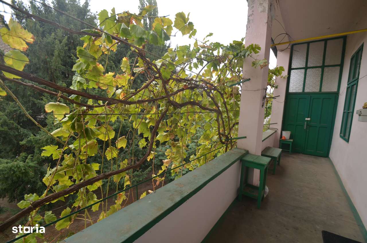 Apartament cu 2 camere zona Iosefin-11