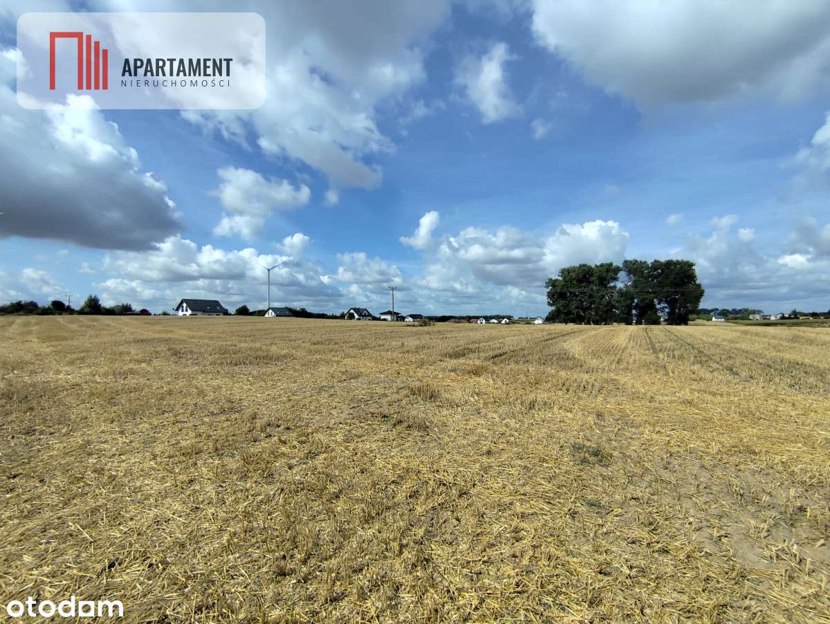 Działka z warunkami zabudowy, blisko Więcborka! - Pełny obrazek: 5/12