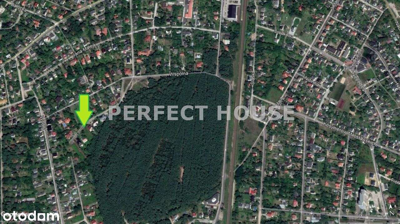 Puszczykowo intymna działka przy lesie - Pełny obrazek: 4/9