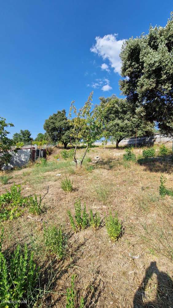 Terreno à venda em Ratoeira, Celorico da Beira - Grande imagem: 3/6