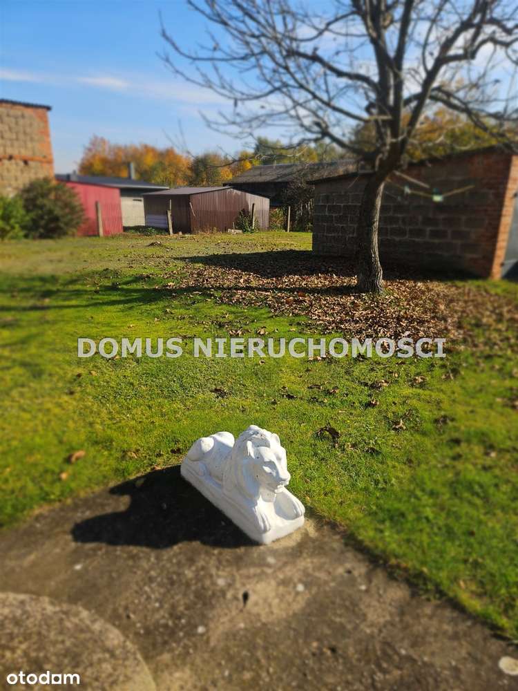 Klimatyczne siedlisko-16