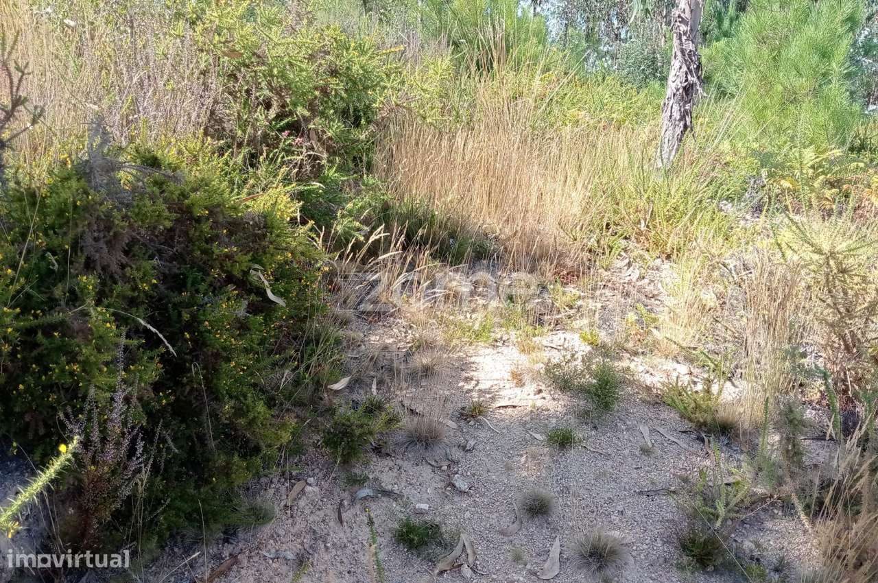 Terreno em Tonda com 2250 m2 - Grande imagem: 4/15