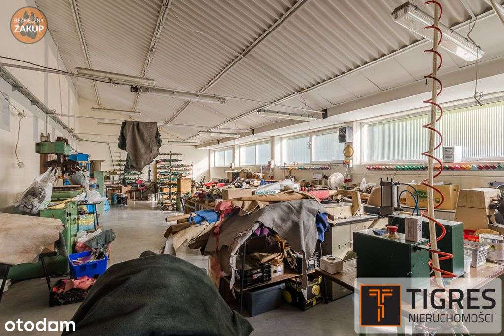 Hala pod działalność produkcyjną lub magazynową - Pełny obrazek: 4/10