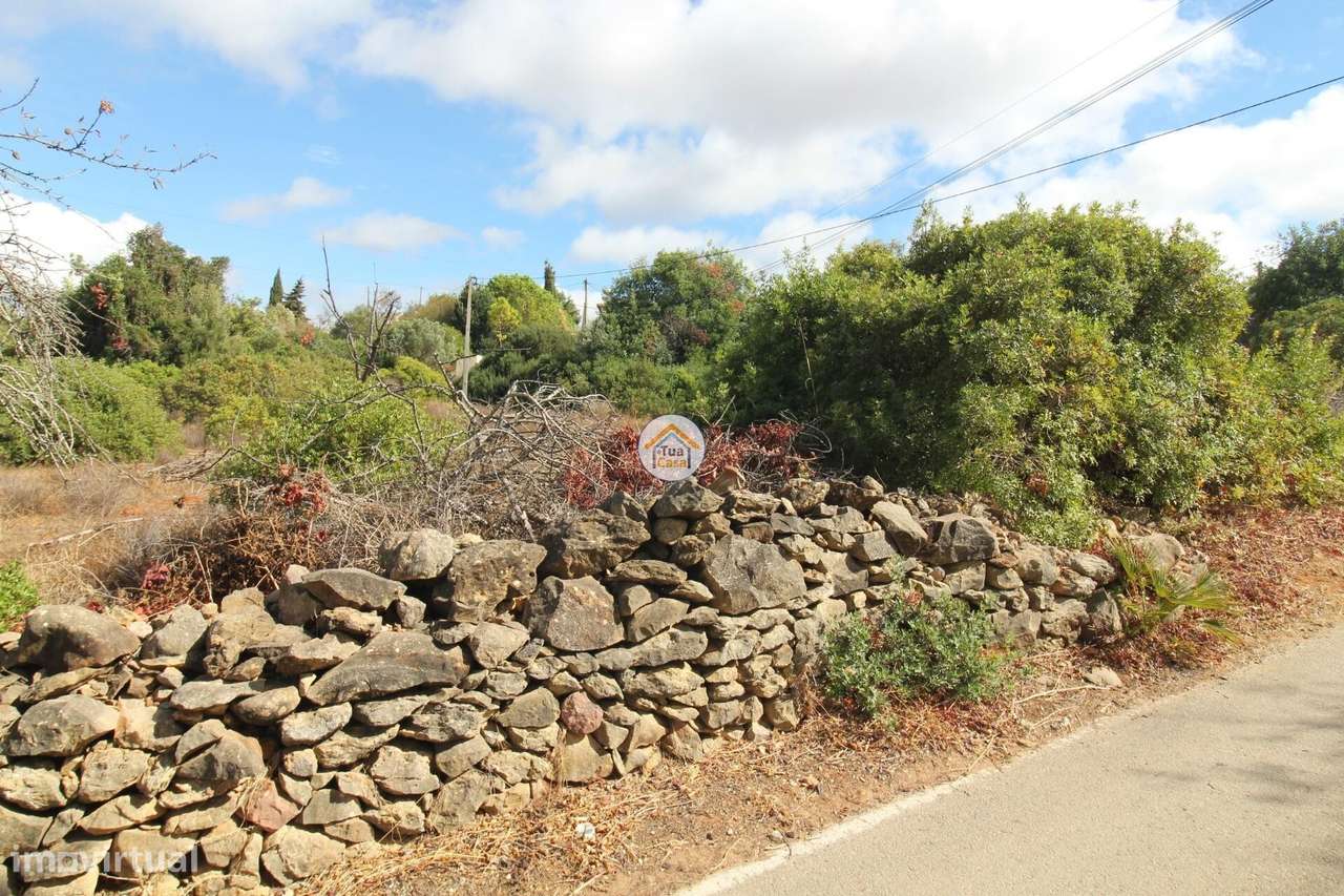 Terreno Misto 6580 m2 com 30 m2 Construção em Olhão (Fornalha) - Grande imagem: 4/23