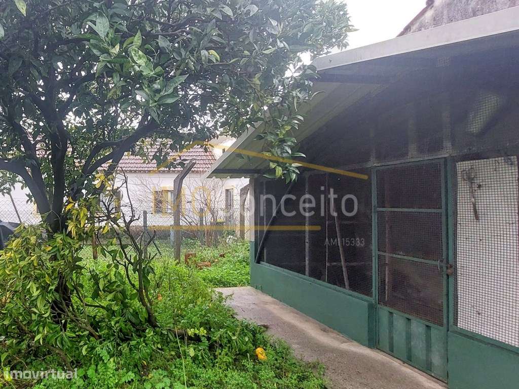 Moradia Térrea T4|| Ourém|| Caxarias|| Campo-55