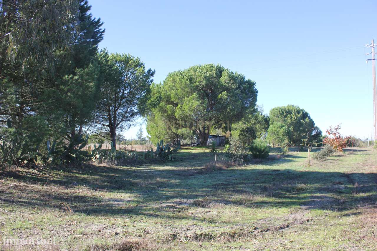 Quinta com Moradia para vender na Herdade de Almada em Foros de Almada-28