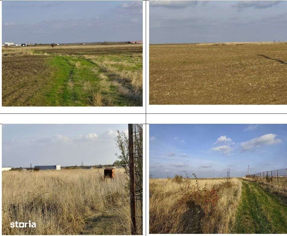 Teren Loc. Pielesti,  Jud Dolj-4