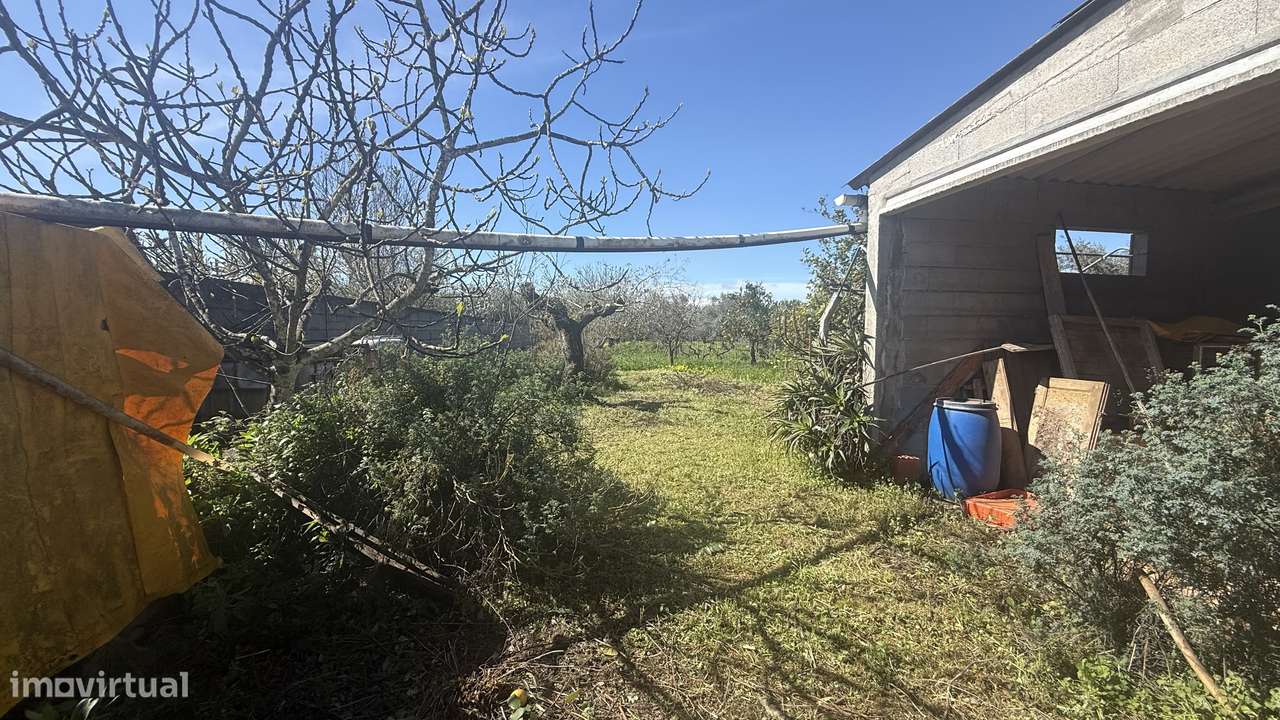 Moradia Isolada com Terreno Amplo em Parceiros da Igreja, torres novas-31