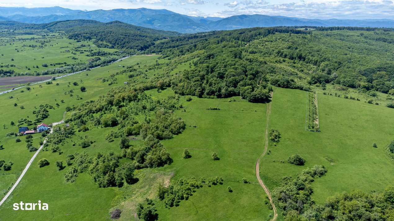 Teren 500 mp in Bradu, Sibiu – 8.000 € – Zona linistita, priveli-5