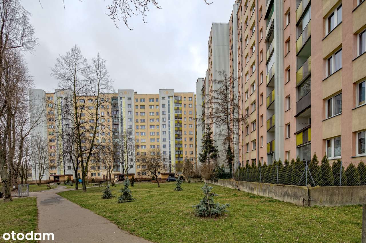 Pokój na Czumy - Pełny obrazek: 5/6