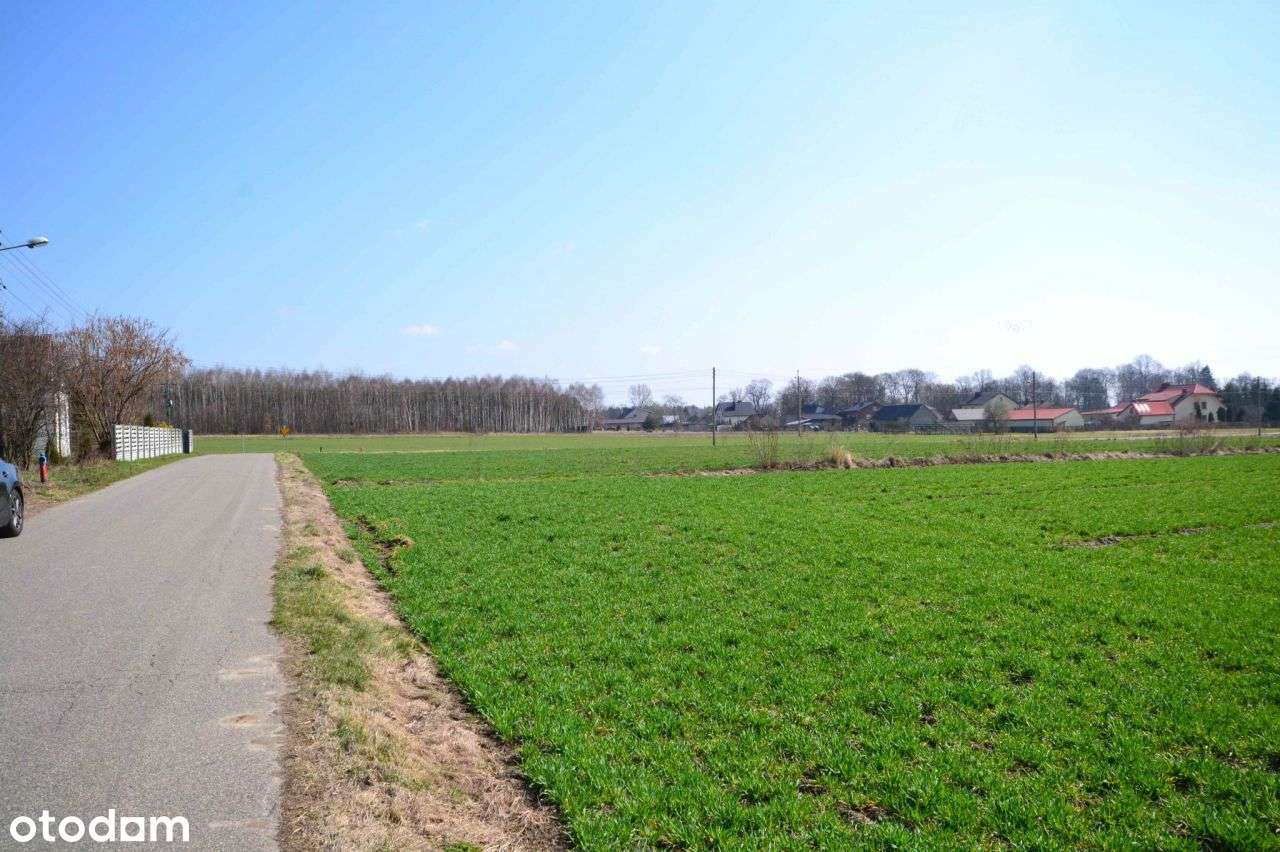 Piękna działka bud. 2365m2, na Jurze. Rzeki Wielki - Pełny obrazek: 5/7