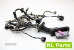 Instalação elétrica da porta Opel Insignia 13254506 - 1