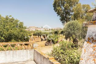 Quinta de 6,7 ha e moradia térrea T3 | Arraiolos - Grande imagem: 4/60