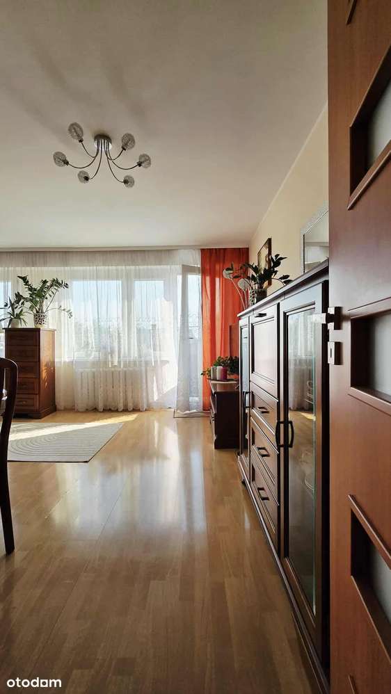 3 pokoje Wielka Płyta - Pełny obrazek: 2/11