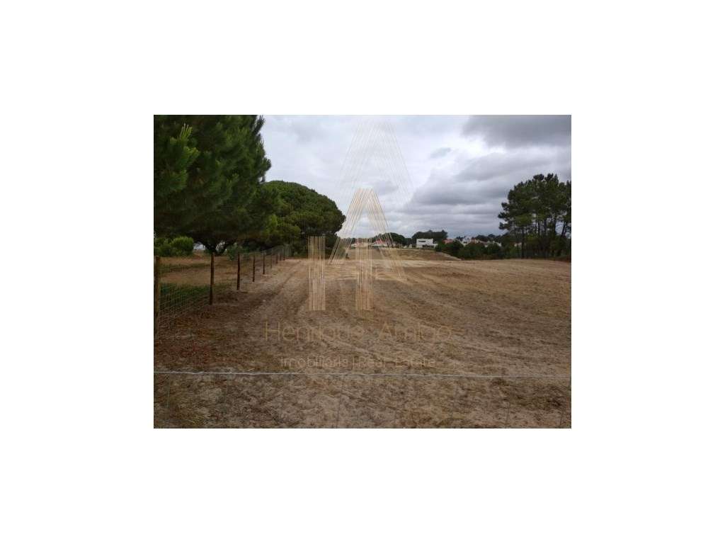 Terreno com projeto aprovado para Moradia T5 isolada em Lagoa / Ses... - Grande imagem: 5/23