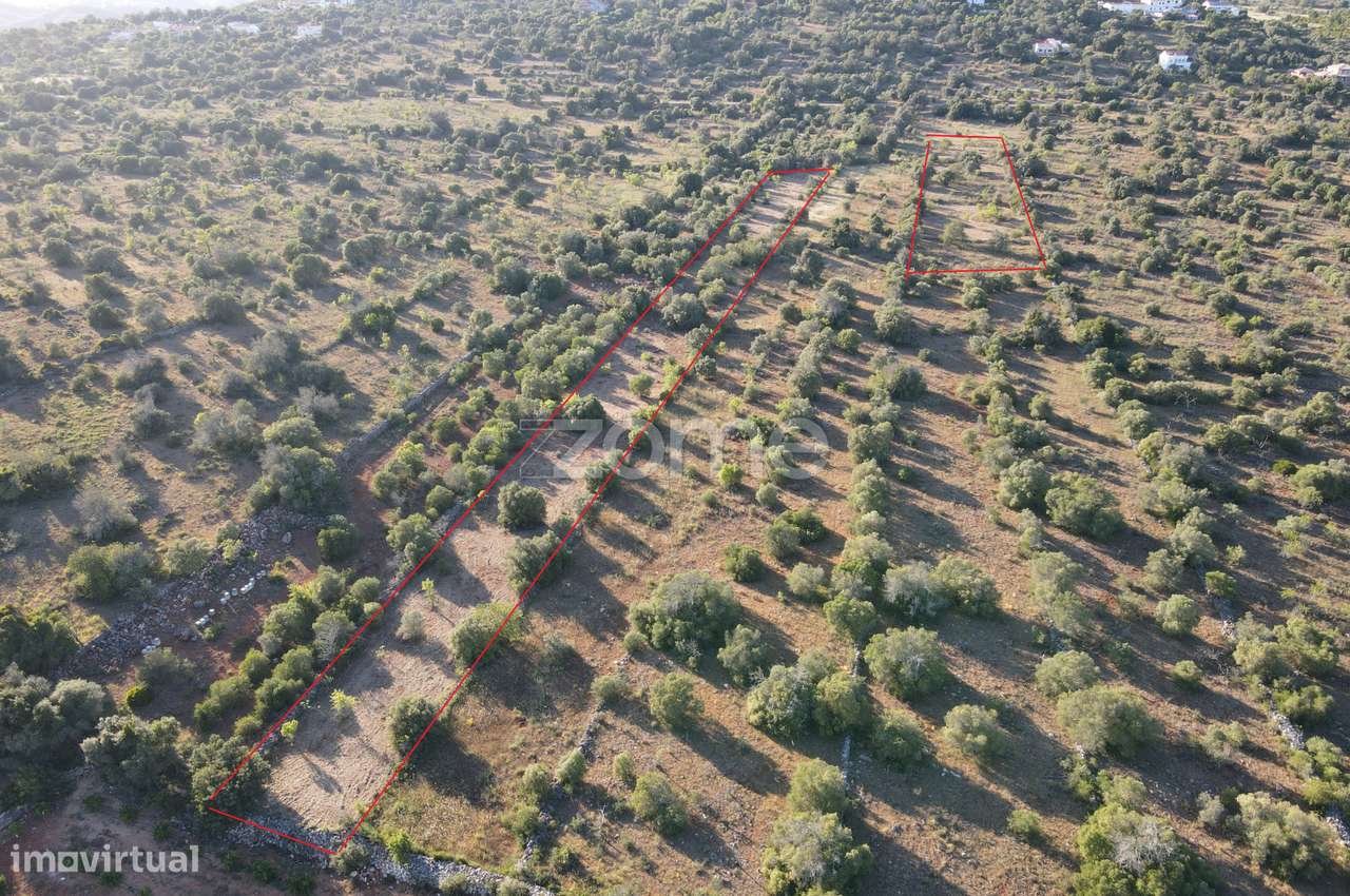 Terreno rústico com 6.440m2 em Messines - Grande imagem: 1/19
