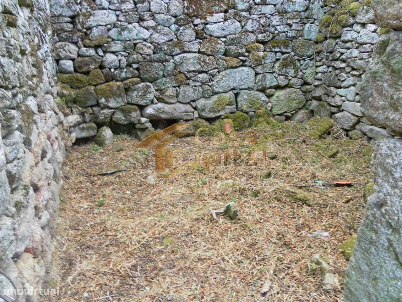 Moradia Rústica com Projecto - Grande imagem: 5/21