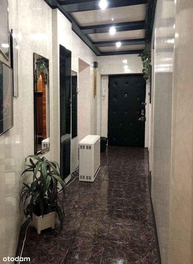 Lokal mieszkalny lub użytkowy-6