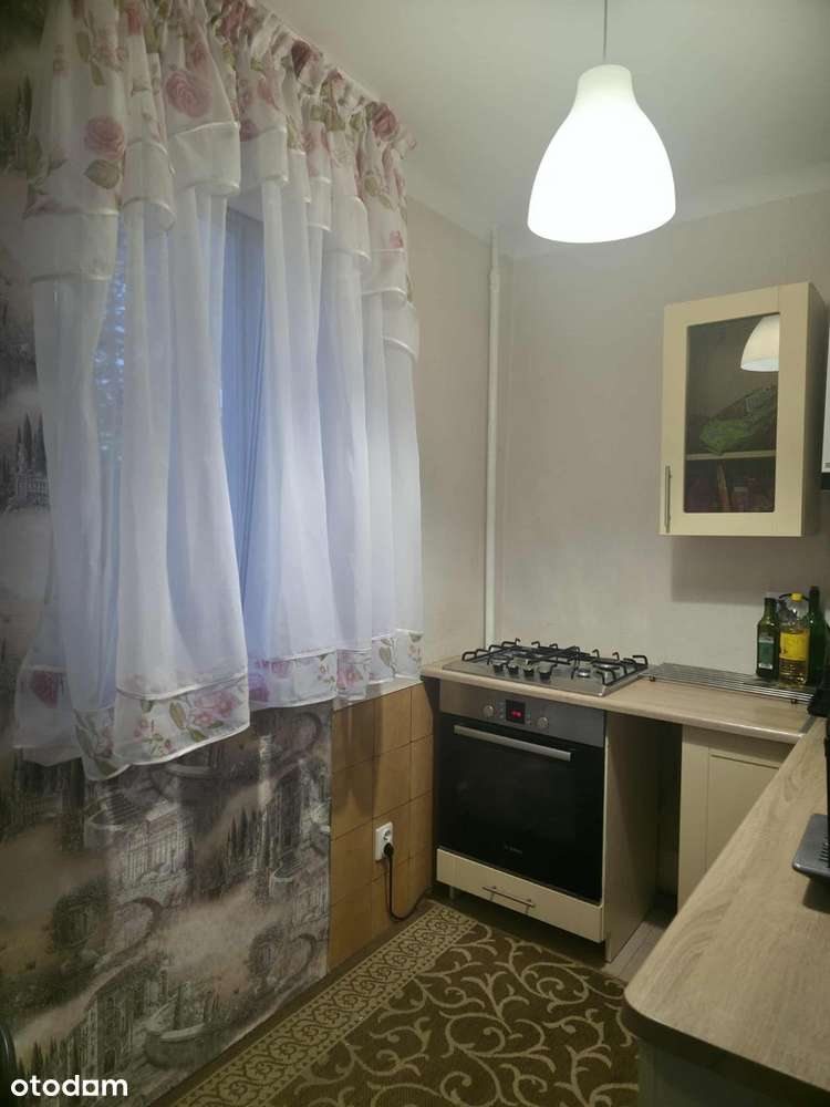 Mieszkanie bezczynszowe z ogródkiem i garażem-2