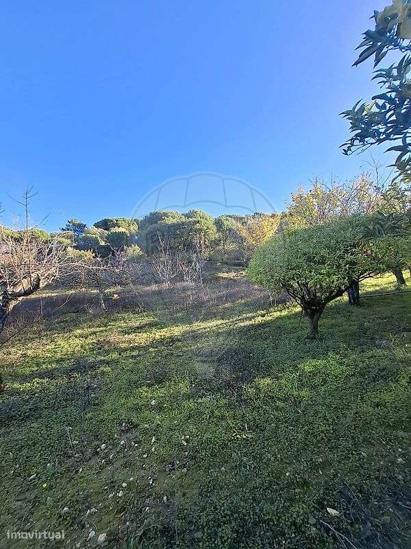 Terreno  para venda - Grande imagem: 4/14