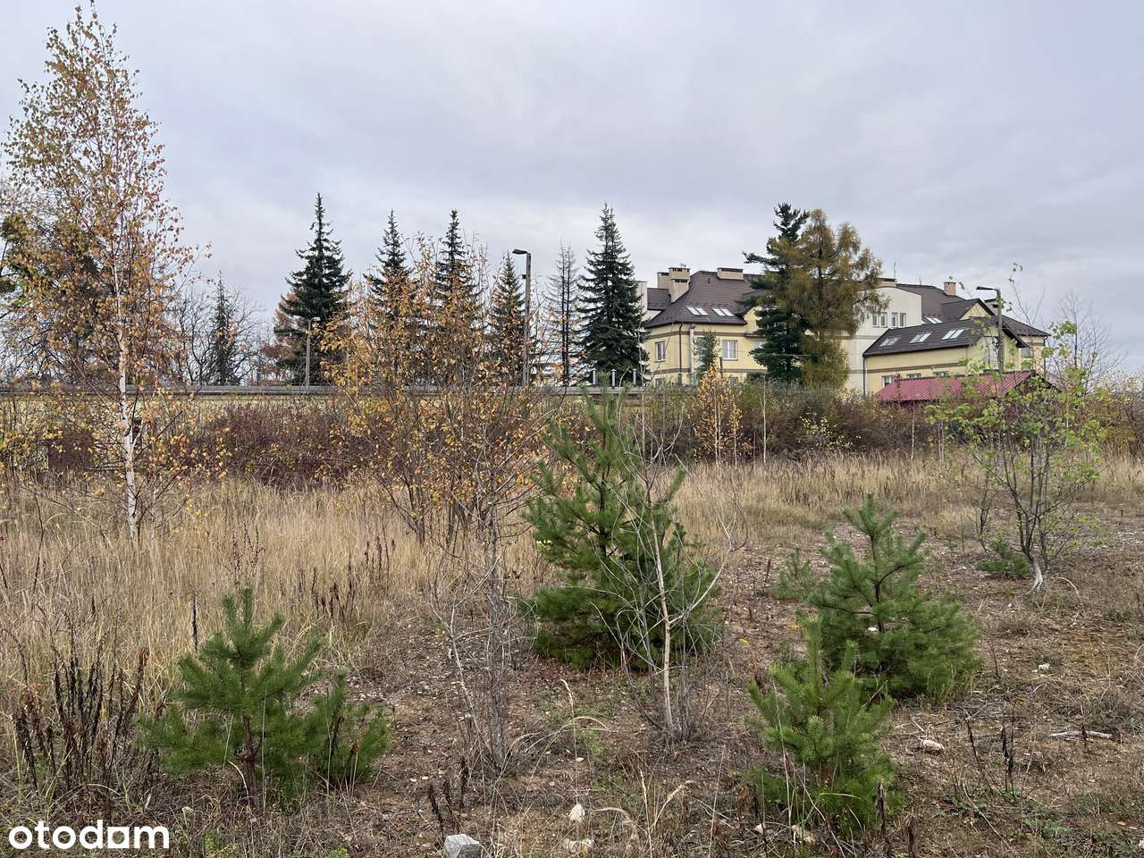 Działka inwestycyjna / budowlana Trzebinia 1,294 ha - Pełny obrazek: 4/5