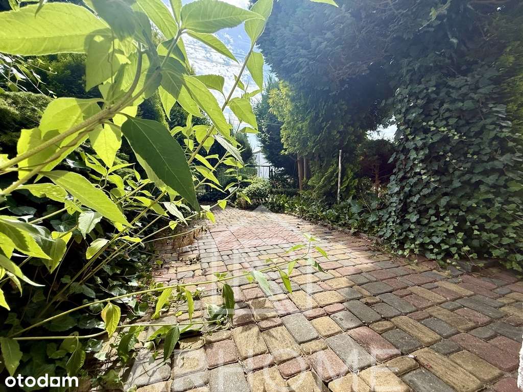 Dom w Grzybowie 800 m od morza-11