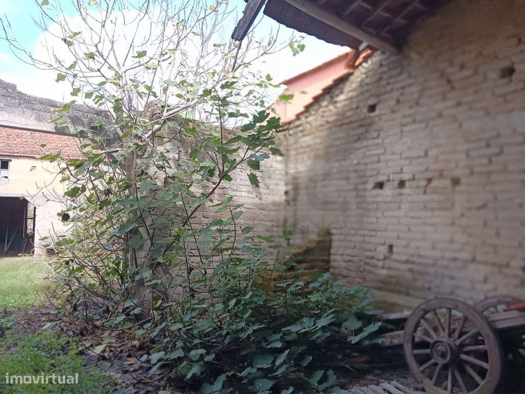 Moradia antiga Térrea estilo lavrador para restauro - Vagos / Ouca - Grande imagem: 4/24