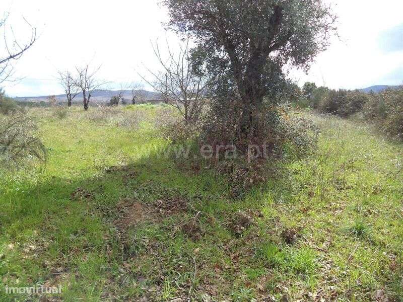 Terreno Rústico / Fundão, Vales Pêro Viseu - Grande imagem: 1/3