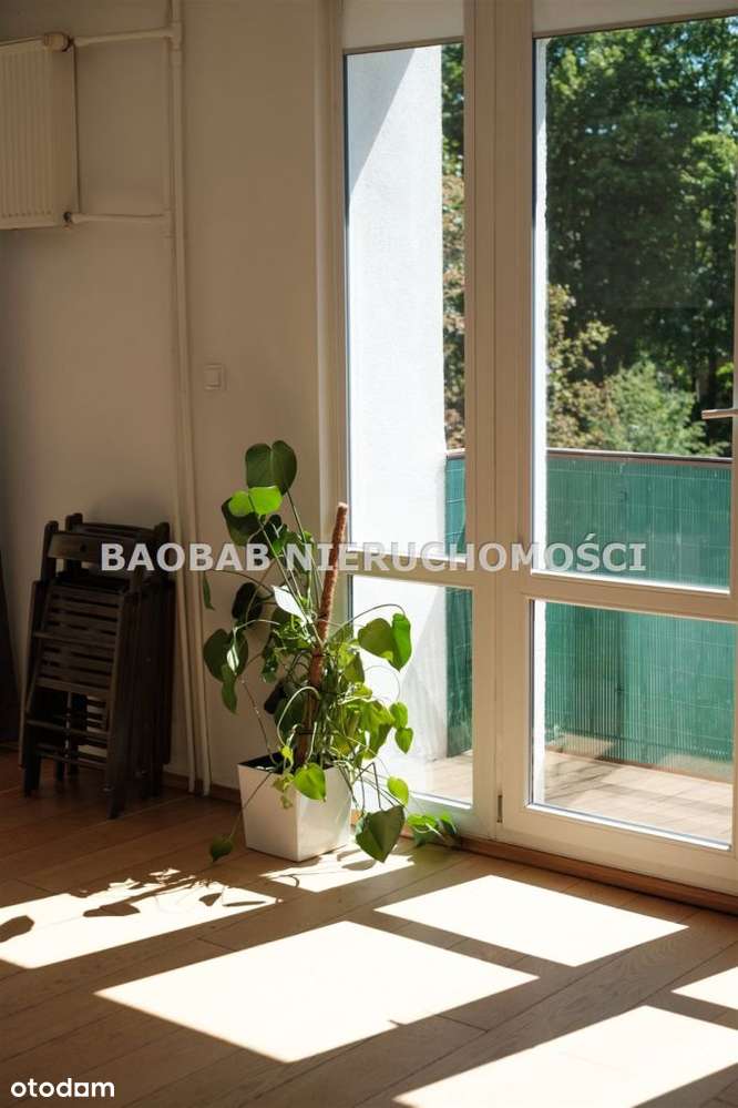 Odyńca 71 do sprzedania-9