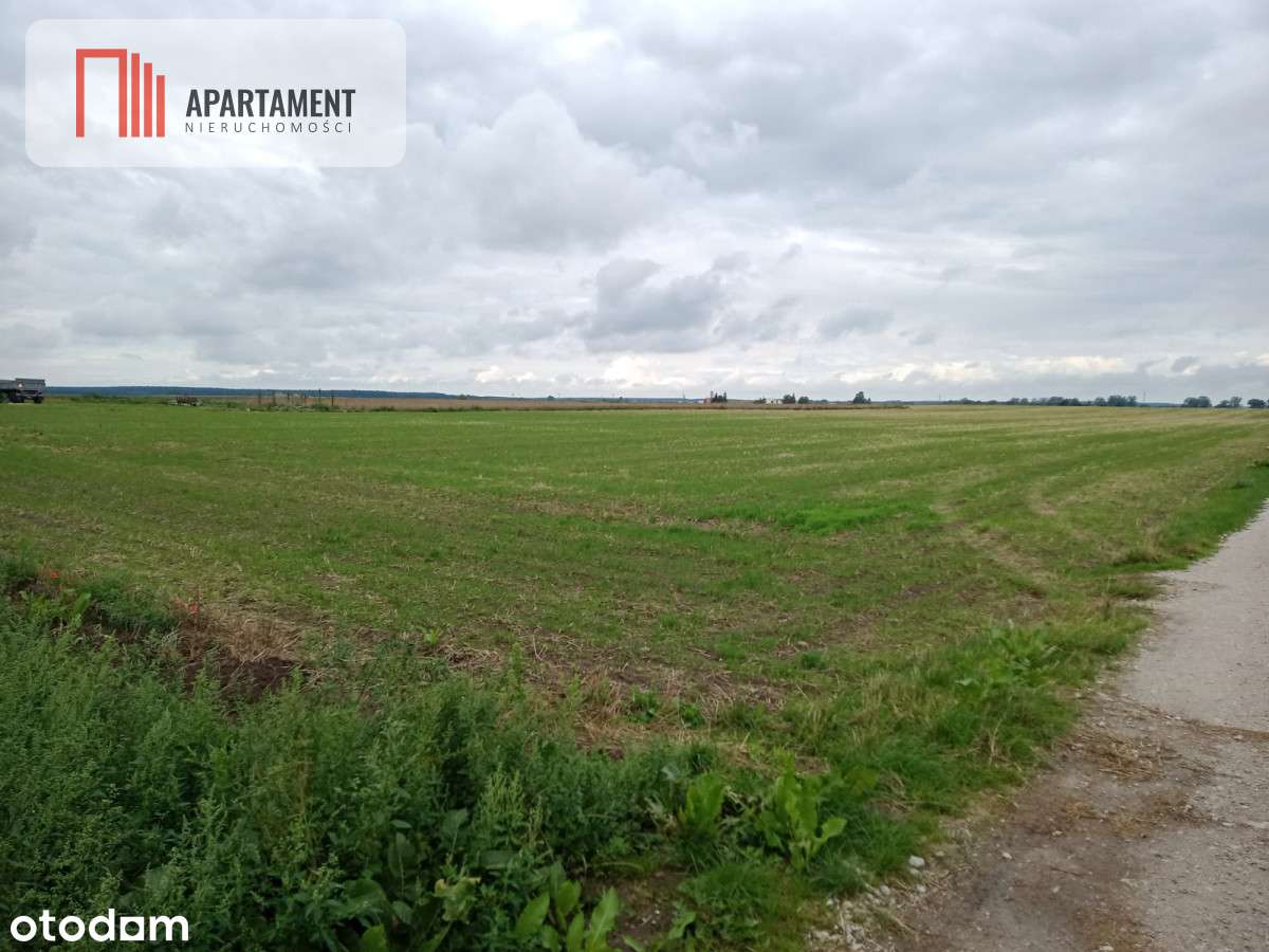 Działki z WZ - Zielonczyn - Pełny obrazek: 3/5