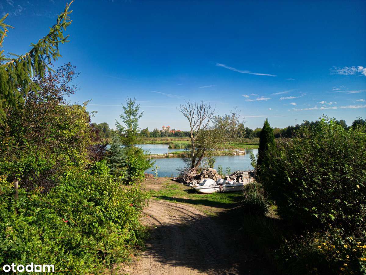 REZERWACJA | rekreacja | zieleń | staw | plan msc-3