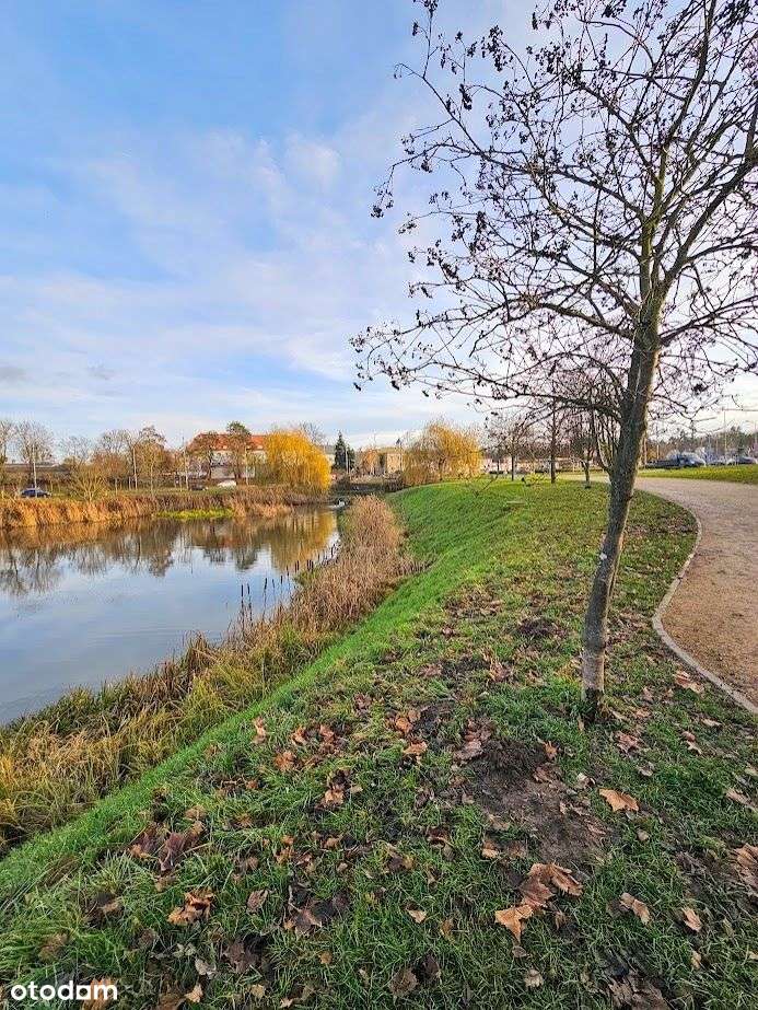 Mieszkanie, 37,60 m², Szczecin - Pełny obrazek: 4/5