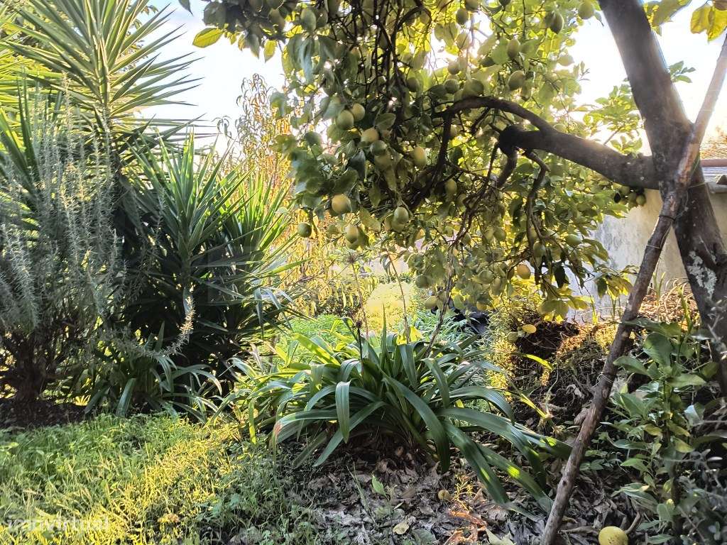 Terreno com casa para restaurar-5