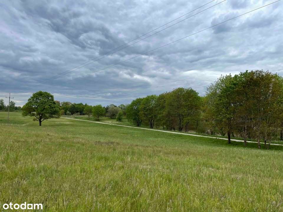 Działka nad Jeziorem Dołgie| las | natura - BUDOWLANA - Pełny obrazek: 3/8