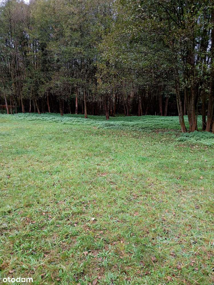 Działka rekreacyjna 2881 m² w otoczeniu natury - Pełny obrazek: 2/9