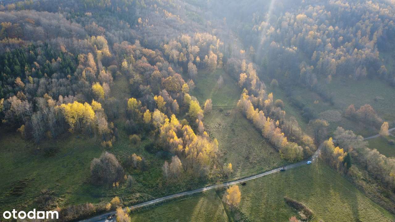 4 Działki przy lesie z widokiem na Góry Sowie - Pełny obrazek: 4/20