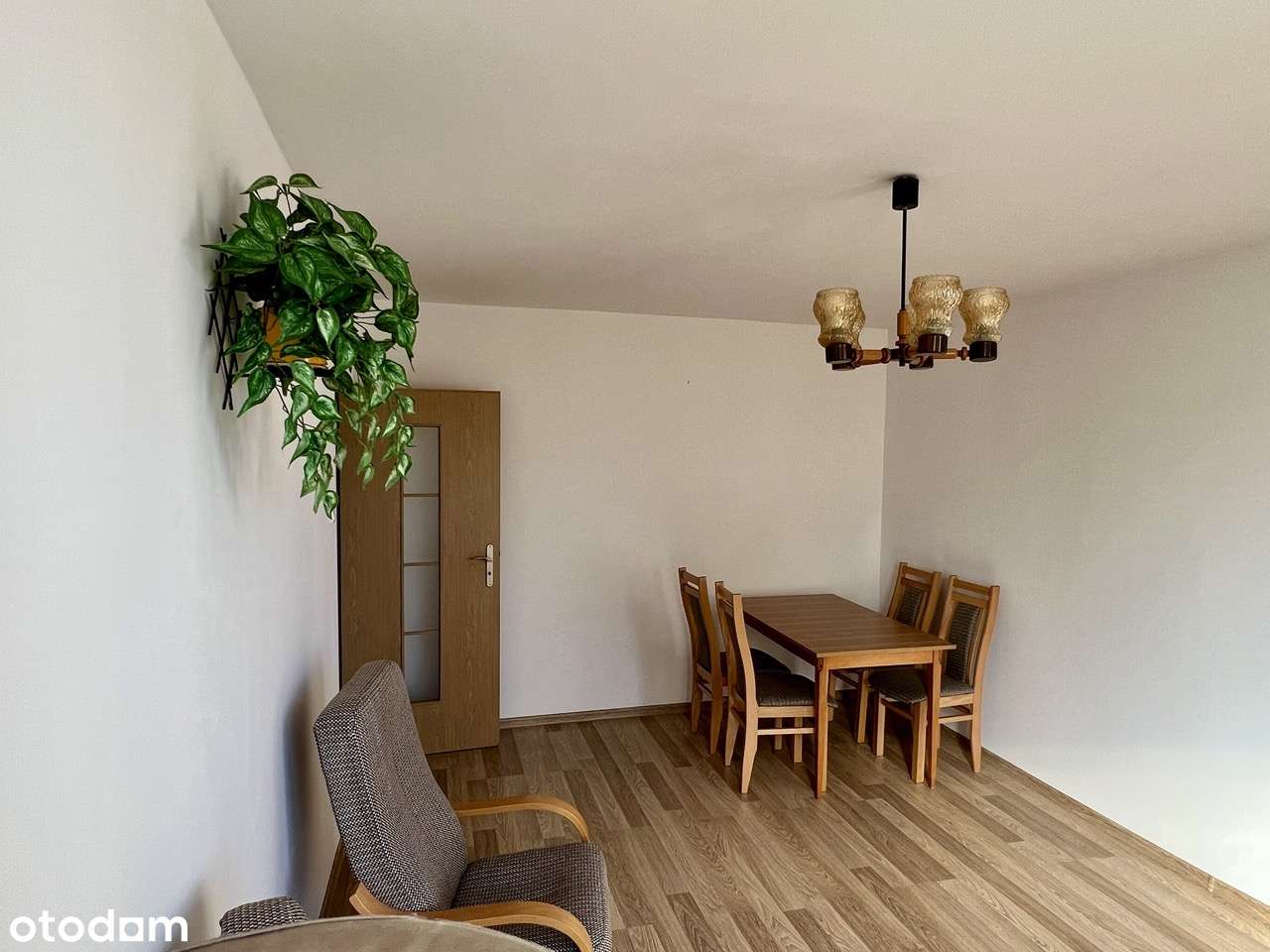 Przestronne, zadbane mieszkanie 3-pokojowe na ul. Niepodległości - Pełny obrazek: 4/20