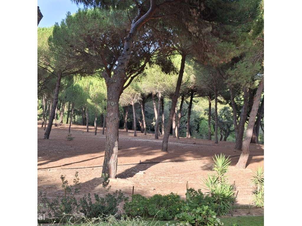 Luxuosa propriedade entre Grândola e Comporta, com 24 hectares-14
