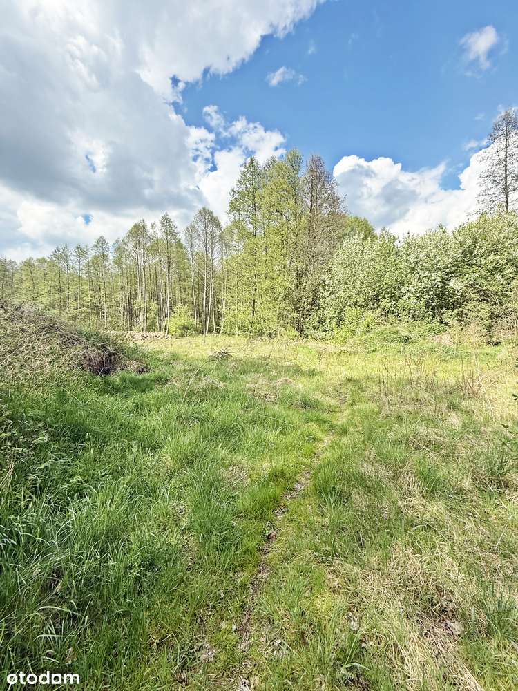 Urocza działka w Z.Górze na uboczu-1