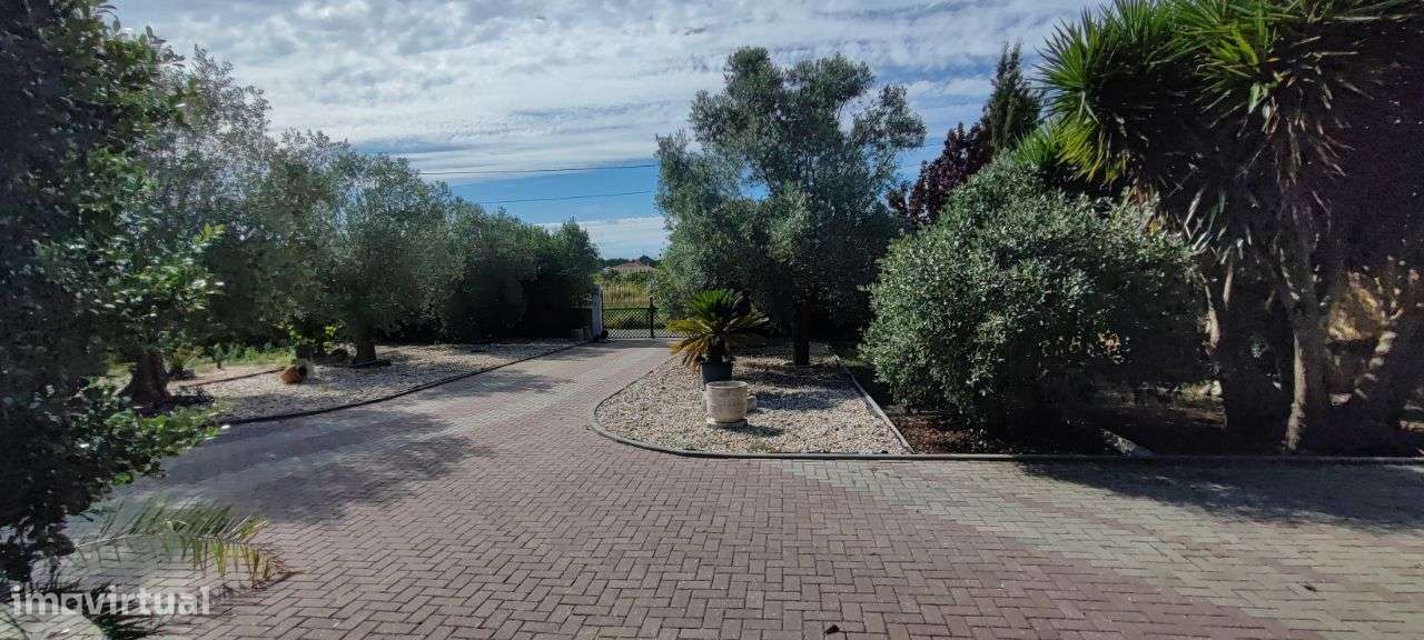 Moradia com 6 quartos, piscina e  Quinta envolvente em FEBRES-16
